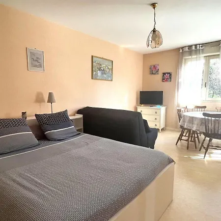 Apartment T1 Bis De 35m² Avec Terrasse Sud/est, Parking Prive, Piscine Et Tennis - - Fr-1-555-80 Aix-les-Bains