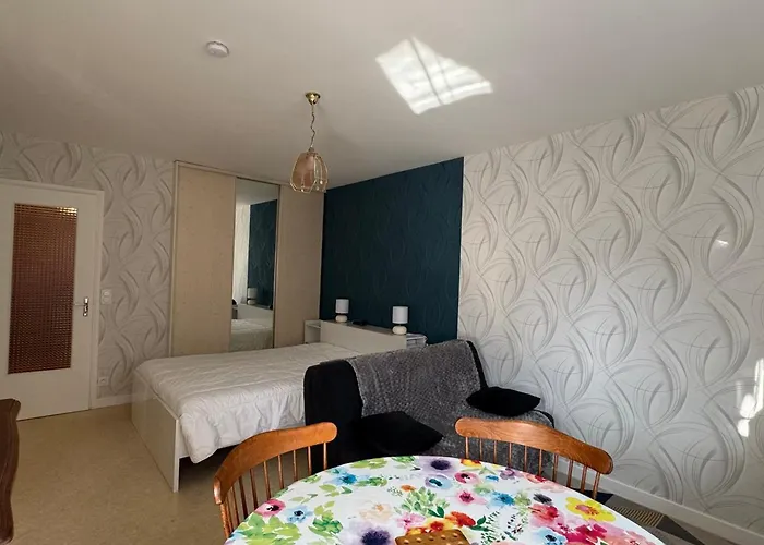 公寓 T1 Bis 35m² Avec Terrasse Exposee Sud/est Et Parking Prive - Fr-1-555-80 艾克斯莱班